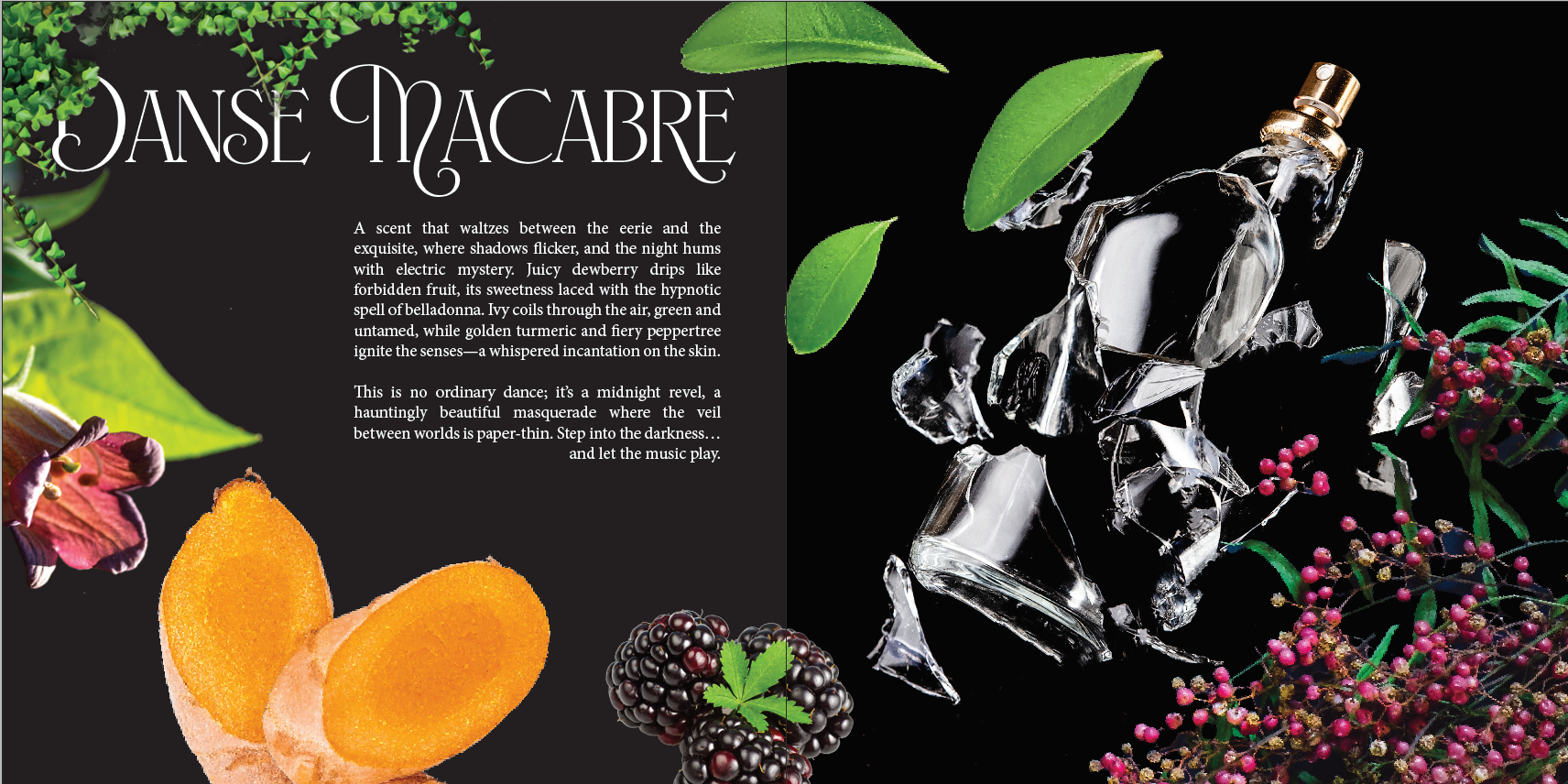 inside page of catalogue